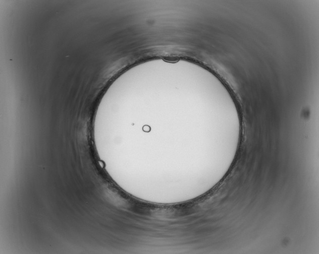 X0000100980105200807221242