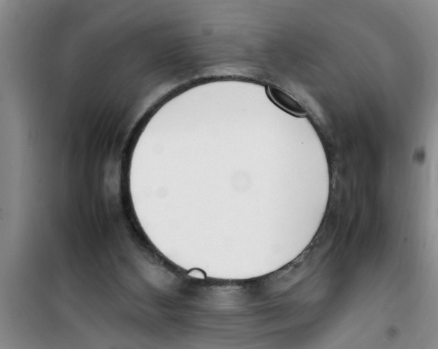 X0000100980108200807221242