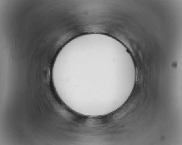 X0000100980109200807221242