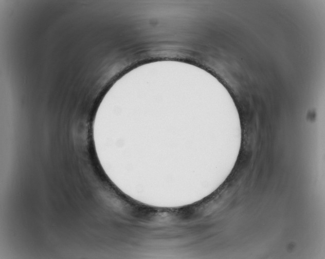 X0000100980111200807221242