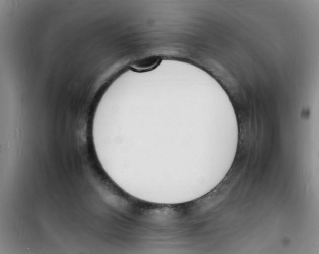 X0000100980112200807221242