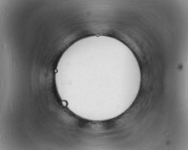 X0000100980113200807221242