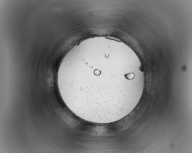 X0000100980114200807221242