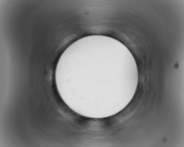 X0000100980115200807221242