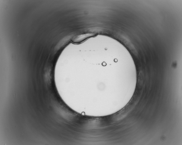 X0000100980116200807221242