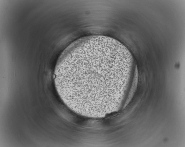 X0000100980117200807221242