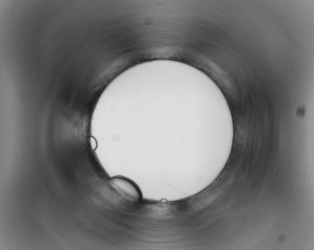 X0000100980118200807221242