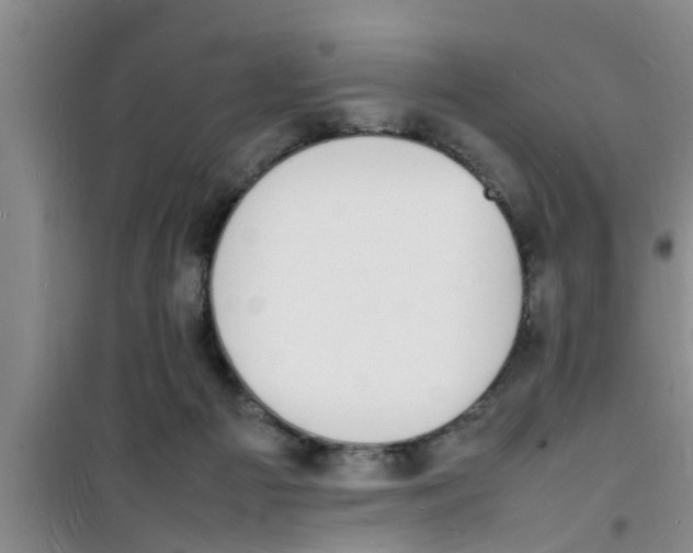 X0000100980121200807221242