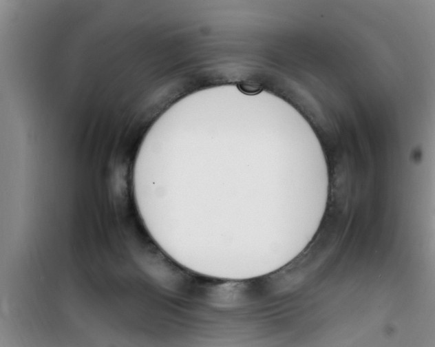 X0000100980122200807221242