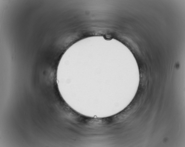 X0000100980123200807221242