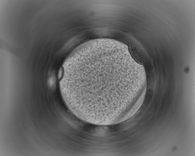 X0000100980124200807221242