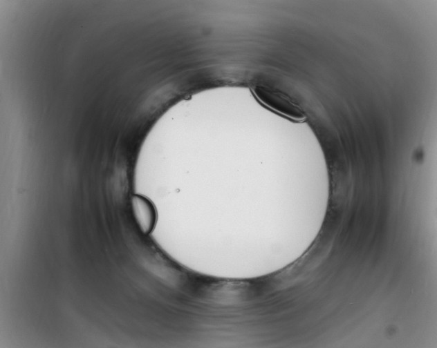 X0000100980128200807221242