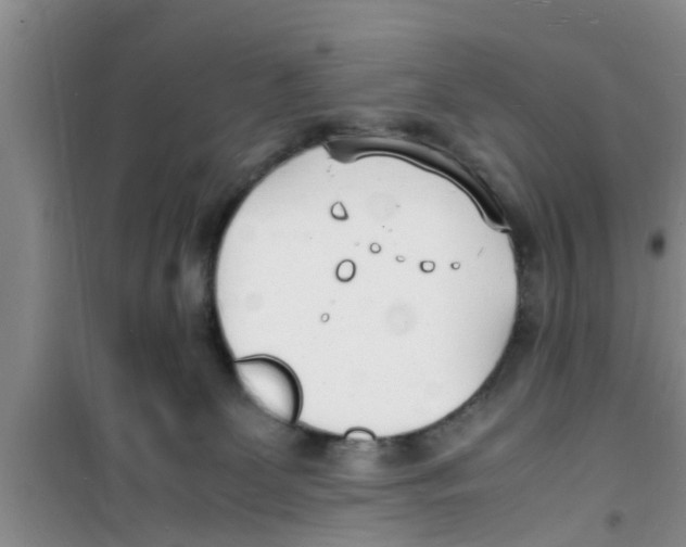 X0000100980131200807221242