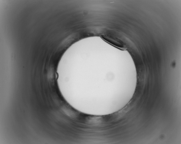 X0000100980132200807221242