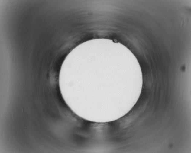 X0000100980135200807221242