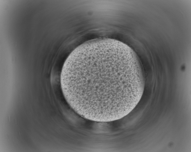 X0000100980137200807221242