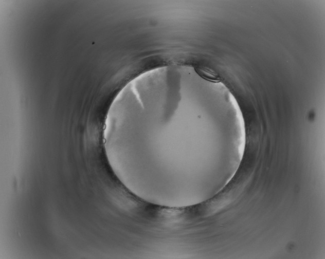 X0000100980139200807221242