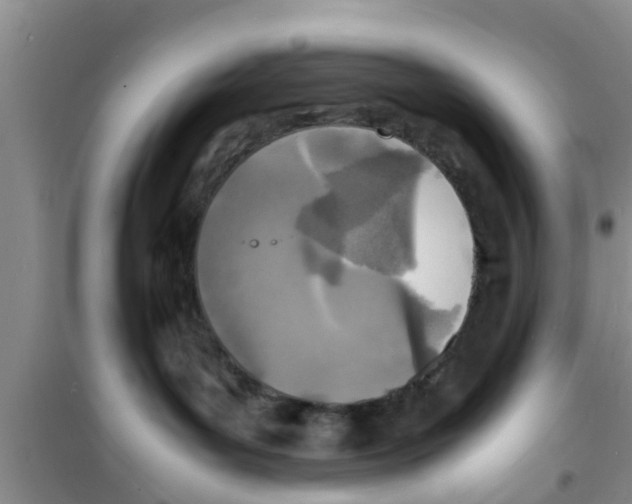 X0000100980143200807221242