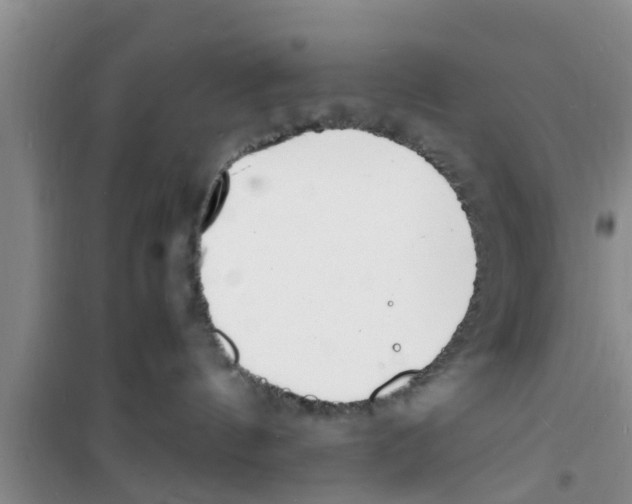 X0000100980144200807221242