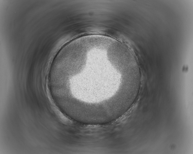 X0000100980145200807221241