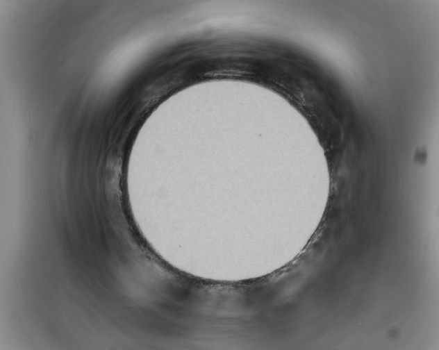 X0000100980146200807221241