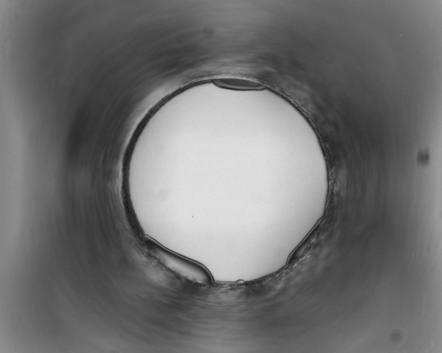 X0000100980148200807221241