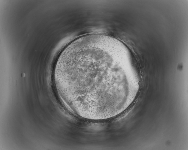 X0000100980149200807221241