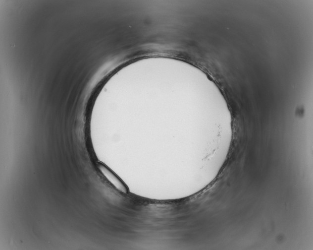 X0000100980150200807221241