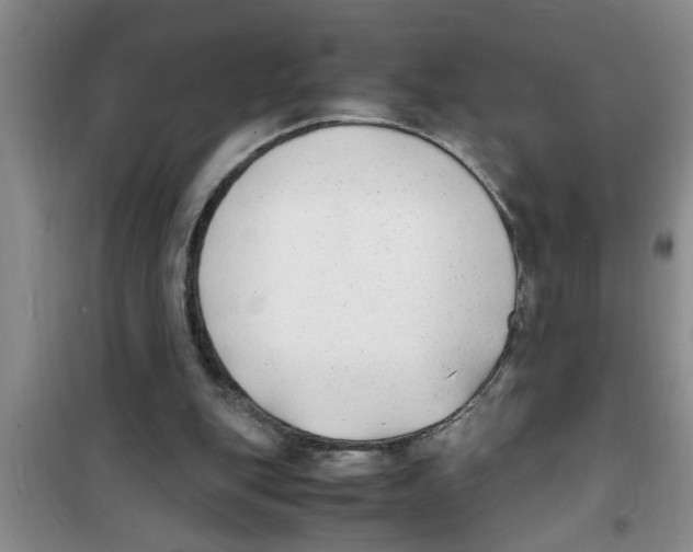 X0000100980151200807221241