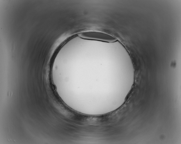 X0000100980152200807221241