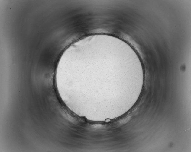 X0000100980153200807221241