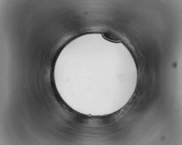 X0000100980154200807221241