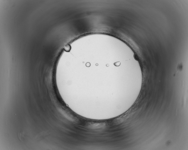 X0000100980155200807221241