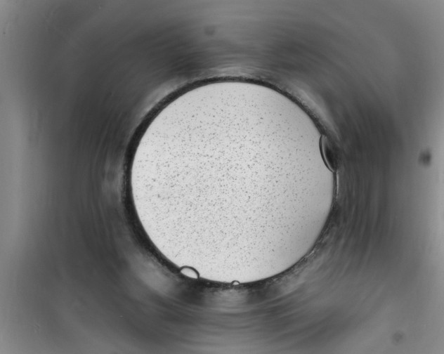 X0000100980156200807221241