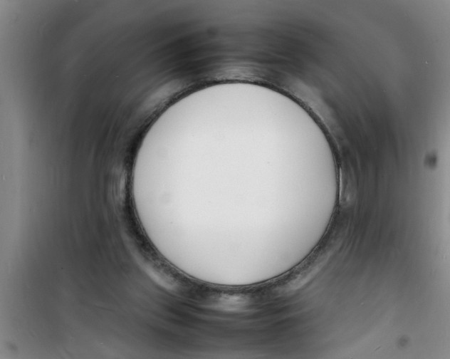 X0000100980157200807221241