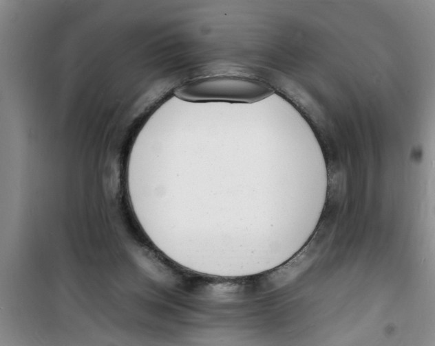 X0000100980158200807221241