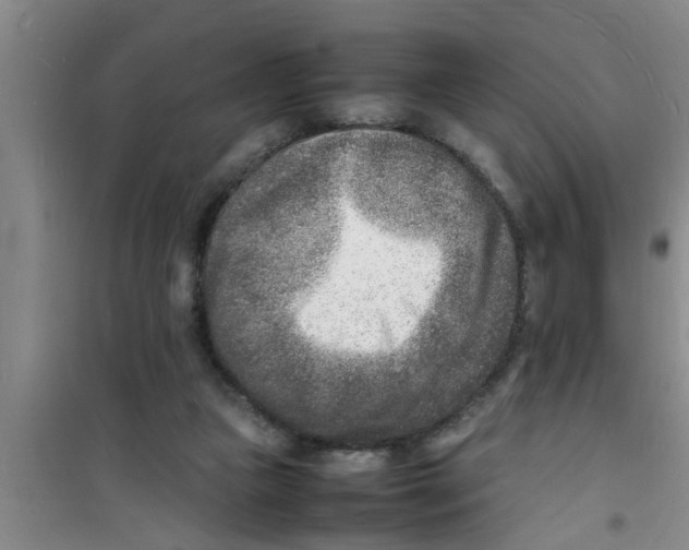 X0000100980161200807221241