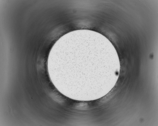 X0000100980162200807221241