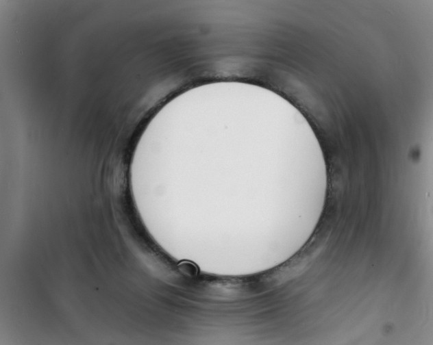 X0000100980164200807221241