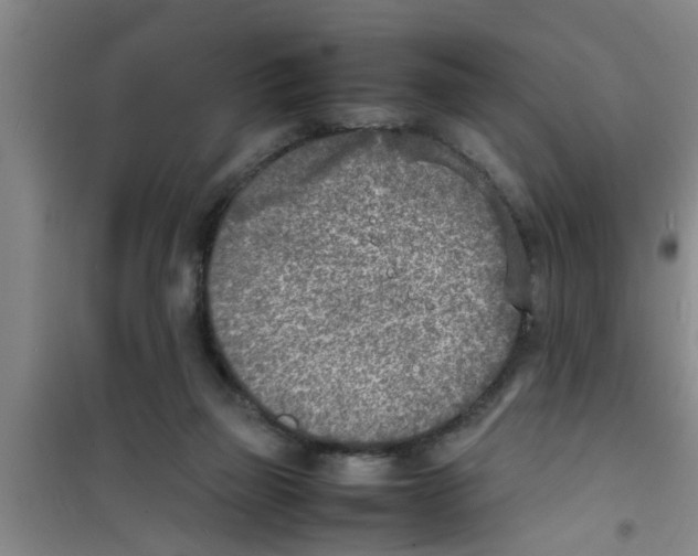 X0000100980165200807221241