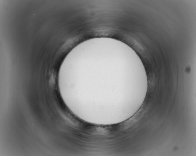 X0000100980166200807221241