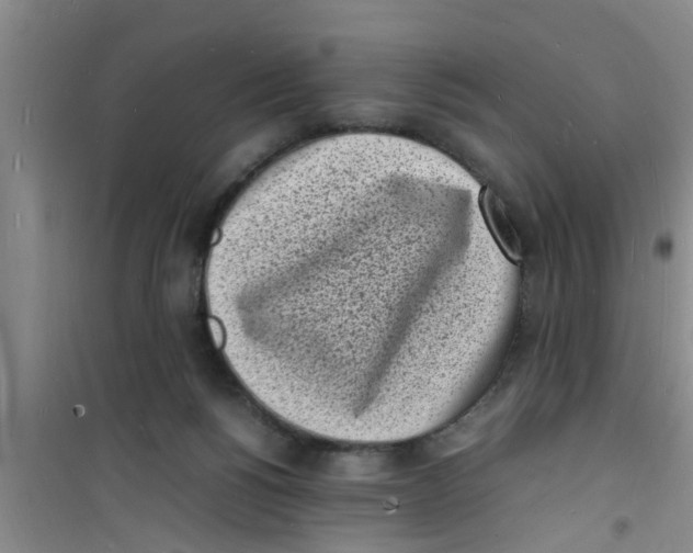 X0000100980168200807221241