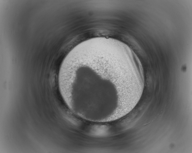 X0000100980169200807221241