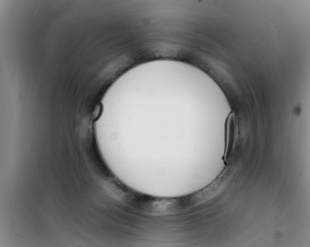 X0000100980172200807221241