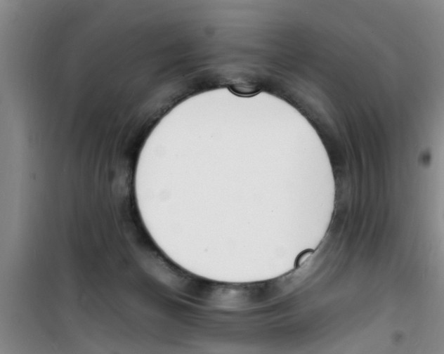 X0000100980174200807221241