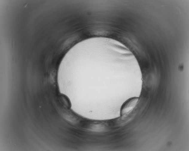 X0000100980175200807221241