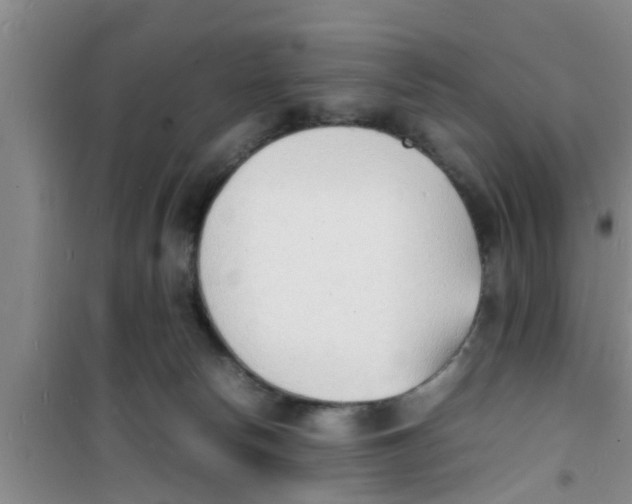 X0000100980178200807221241