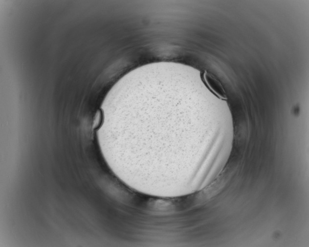 X0000100980180200807221241