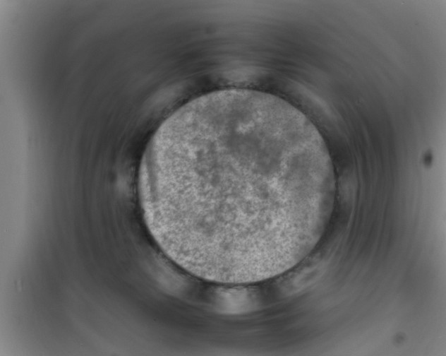 X0000100980181200807221241