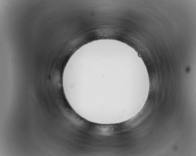 X0000100980187200807221241